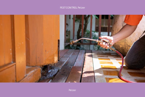 PEST CONTROL Pelzer